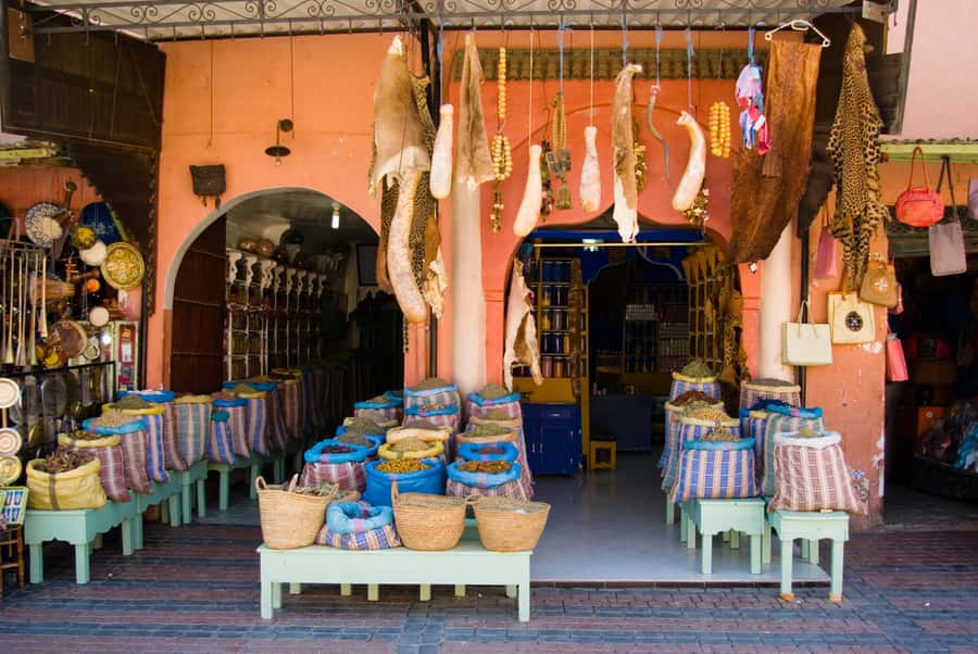 Marrakech: Historical Discovery Tour - The herbalist lesson: spices and plants turned into everyday knowledge