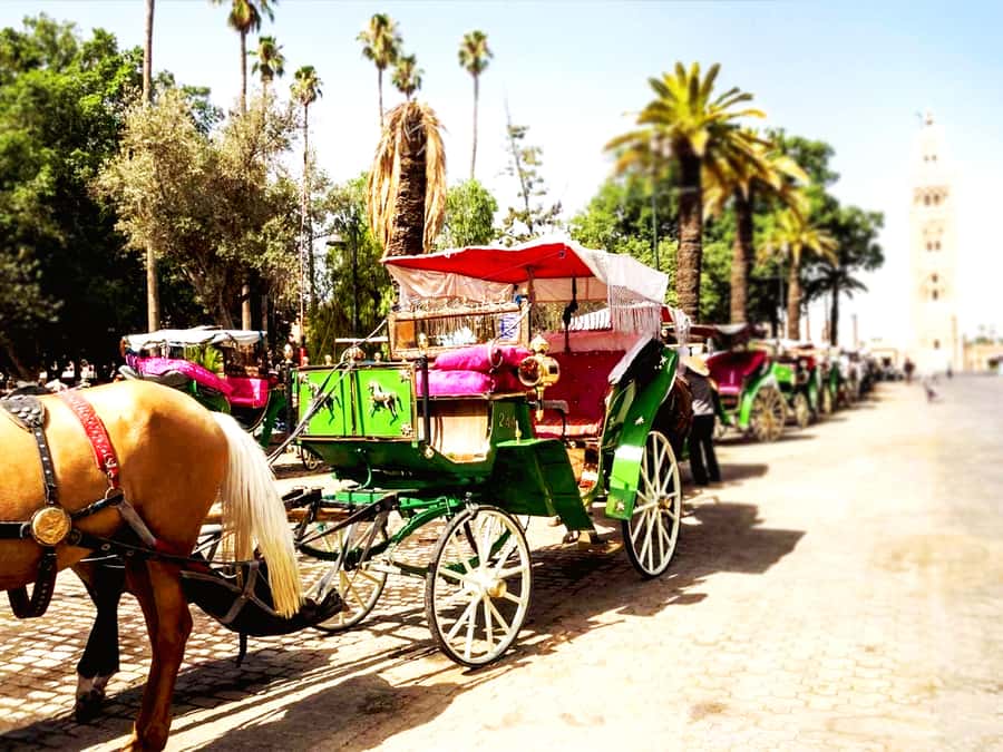 Marrakech: Horse-Drawn Carriage Tour - Why Marrakech by horse-drawn carriage feels different at dusk