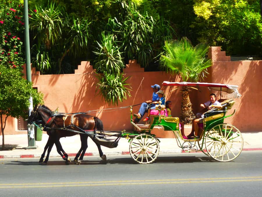 Marrakech: Horse-Drawn Carriage Tour - Cruising the ramparts and babs: city gates from 12th-century walls