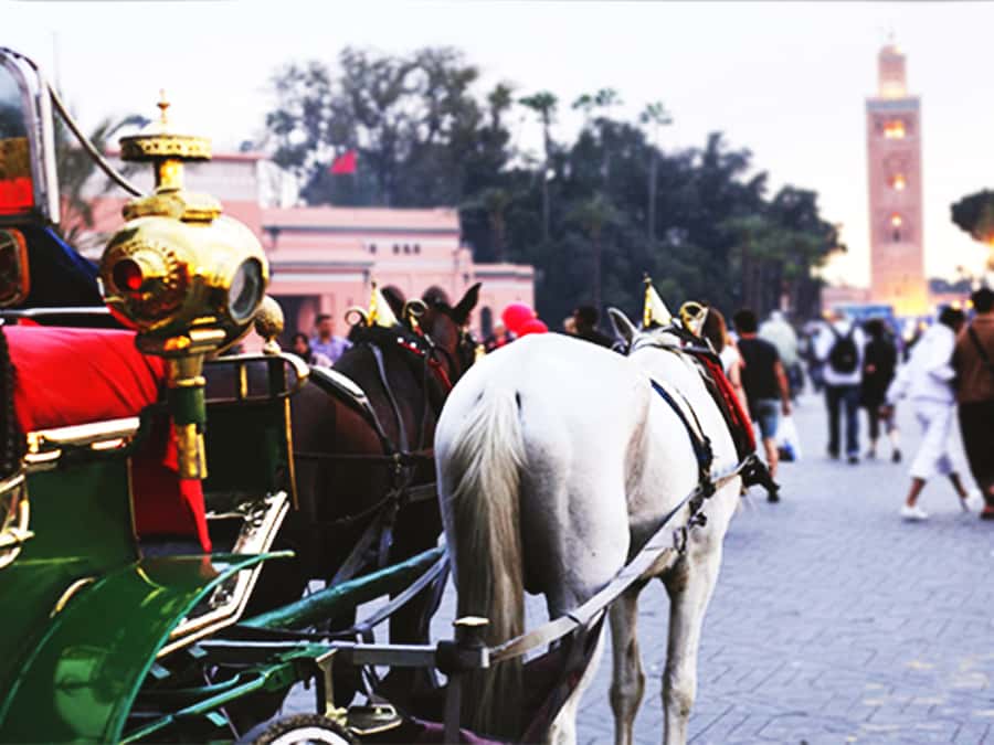 Marrakech: Horse-Drawn Carriage Tour - Jemaa el-Fnaa from the carriage seat: crowds, sound, and real Marrakech