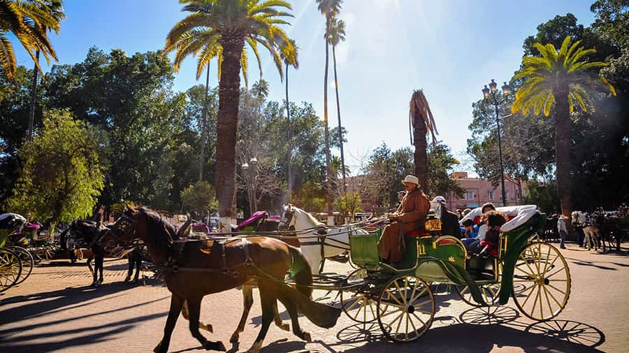 Marrakech: Horse-Drawn Carriage Tour - What the carriage experience is really like with horses and traffic