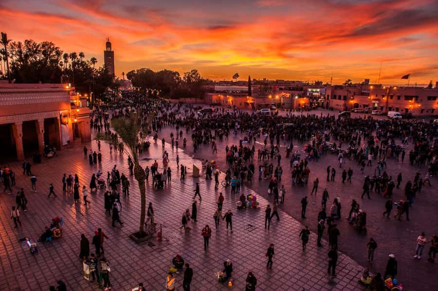 Marrakech: Jemma El Fnaa Food Tour with Dinner - Why Jemaa el Fnaa Food Is the Best Intro to Marrakech
