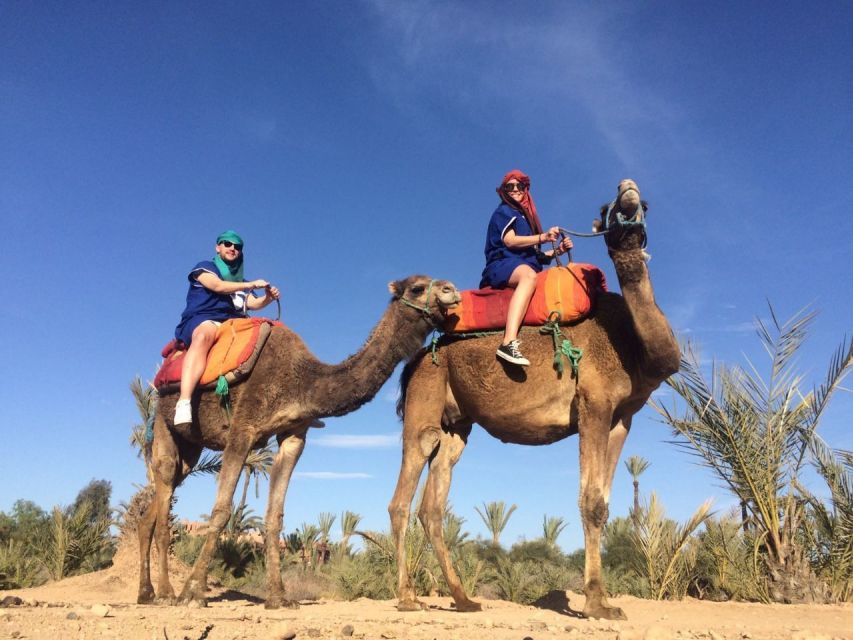 Marrakech: Majorelle Garden Entry Tickets Online - Key highlights you should care about