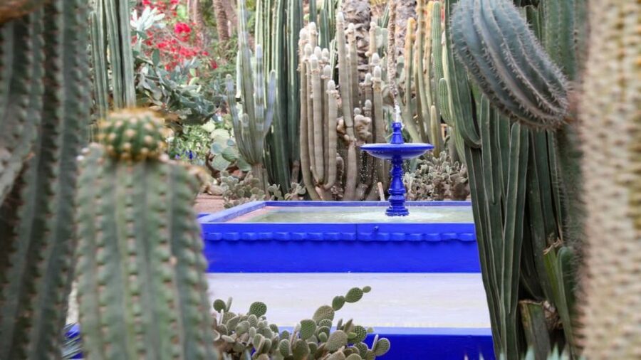 Marrakech: Majorelle Garden Entry Tickets Online - Walking the Clean Paths, How the Layout Keeps You Moving