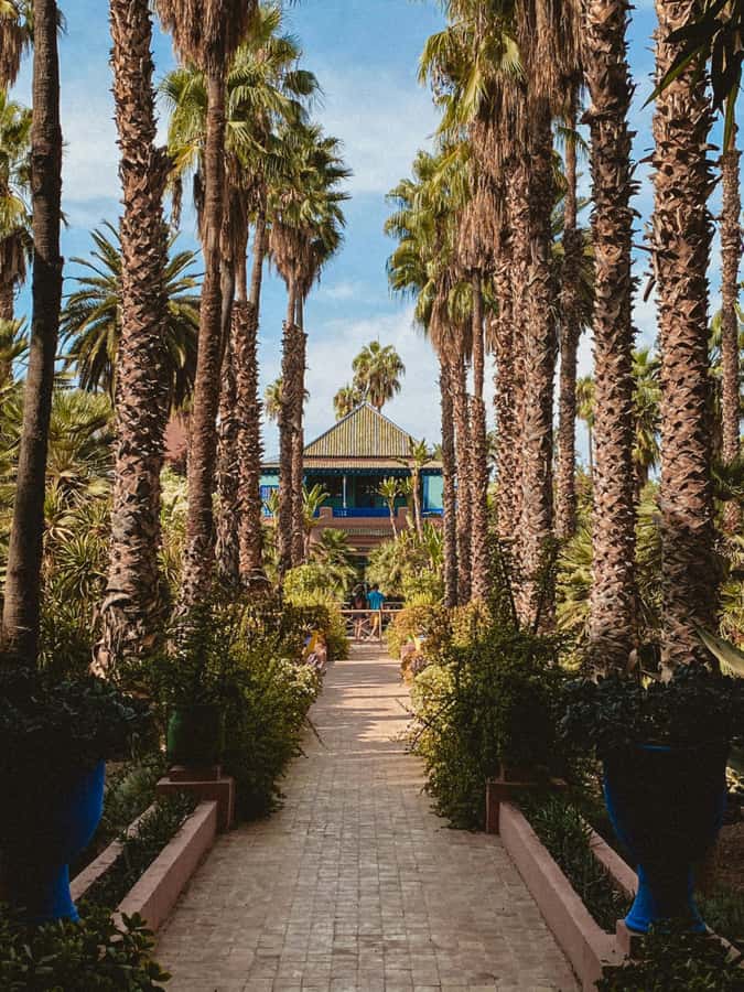 Marrakech: Majorelle Garden, Museums Tickets, & Audio Guide - A timed QR entry, then three stops in one garden setting