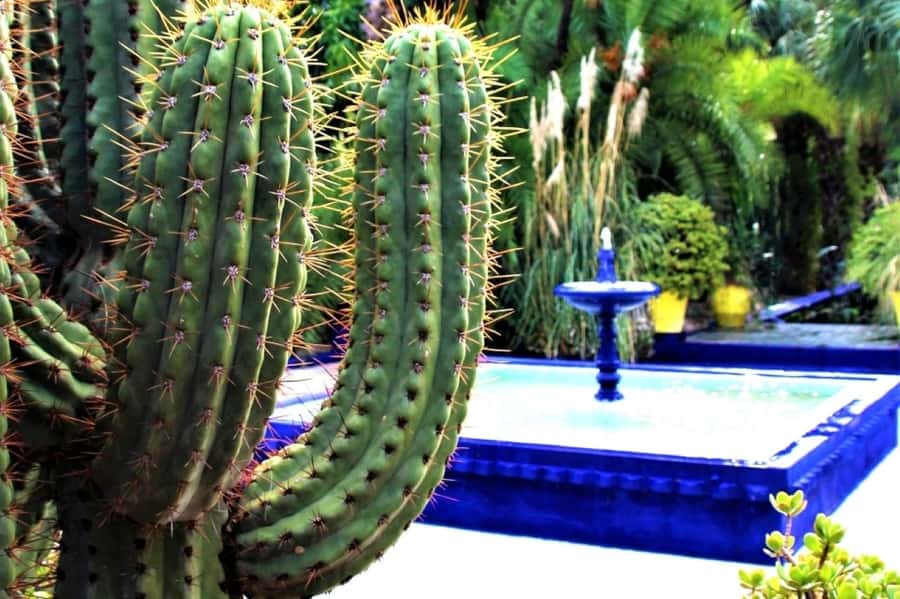 Marrakech: Majorelle Garden, Museums Tickets, & Audio Guide - Yves Saint Laurent Museum: fashion made personal by Marrakech