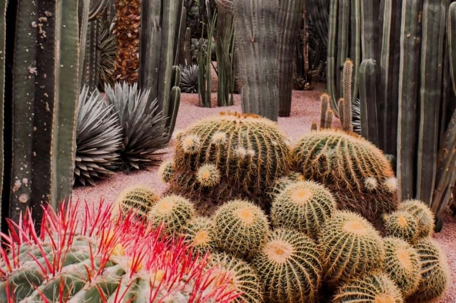 Marrakech: Majorelle Garden, Museums Tickets, & Audio Guide - Pierre Bergé Museum of Berber Arts: textiles, jewelry, and craftsmanship