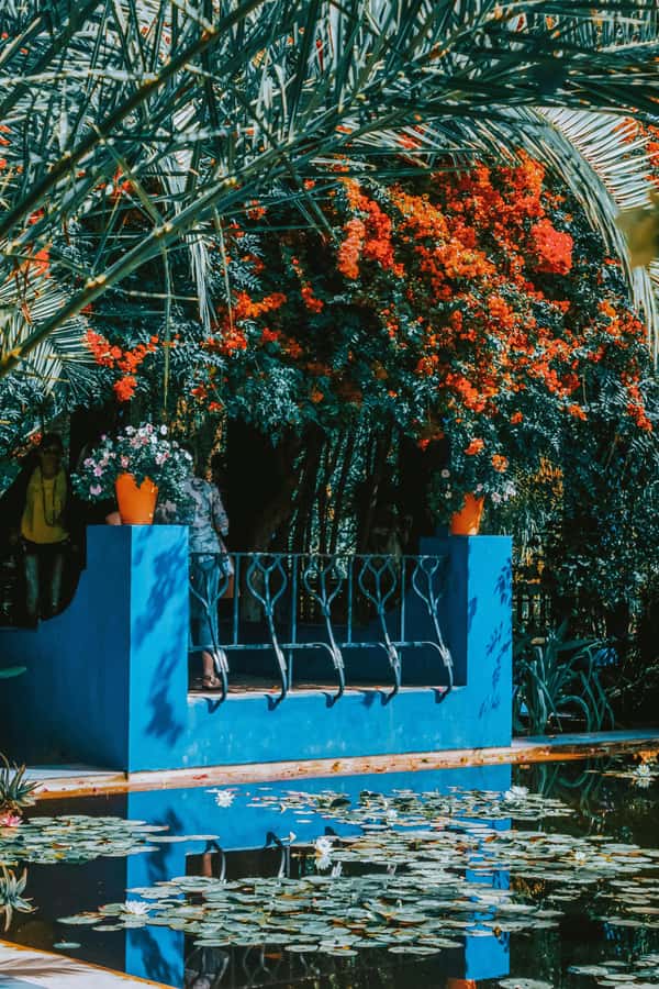 Marrakech: Majorelle Garden, Museums Tickets, & Audio Guide - When this combo is a smart fit