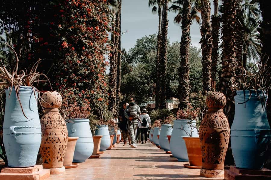 Marrakech: Majorelle Garden, YSL, and Berber Museum Entry - Price and Value: When $58 Feels Right, and When It Doesn’t