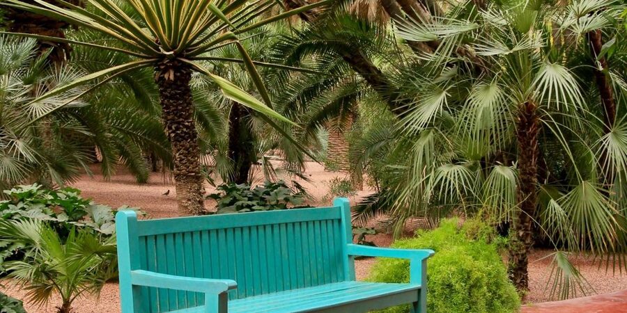 Marrakech: Majorelle Garden, YSL, and Berber Museum Entry - Should You Book It?
