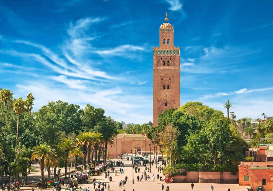 Marrakech: Majorelle & Menara Garden Tour and Carriage Ride - Logistics that matter: tickets, timing, and what to bring