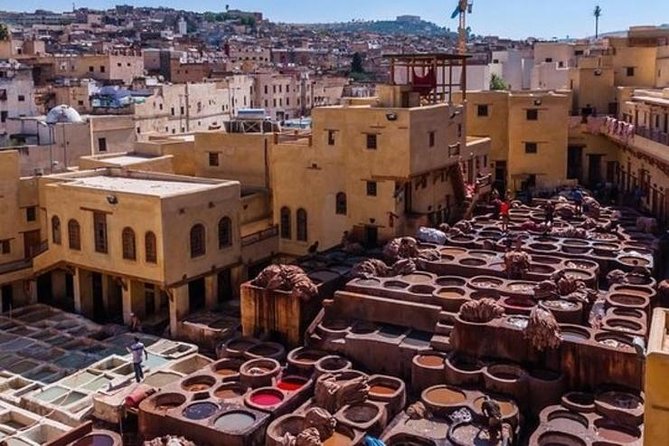 Marrakech Medina Walking Tour With official Local Guide - Price and Logistics: Is $35 Good Value for 3 to 4 Hours?