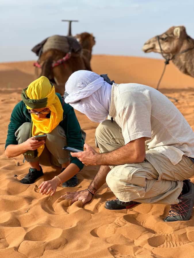 Marrakech/Ouarzazate: 2-Day Desert with Camel, 4x4 & Meals - Agdez and the Draa Valley: fortified stops between the dunes and palm trees