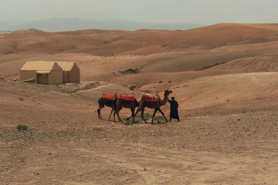 Marrakech/Ouarzazate: 2-Day Desert with Camel, 4x4 & Meals - Ait Ben Haddou Kasbah: the photo stop with real weight