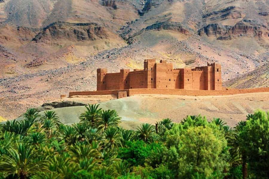 Marrakech: Ouarzazate Excursion - Leaving Marrakech: Van Comfort, Wi-Fi, and the Early Start Reality