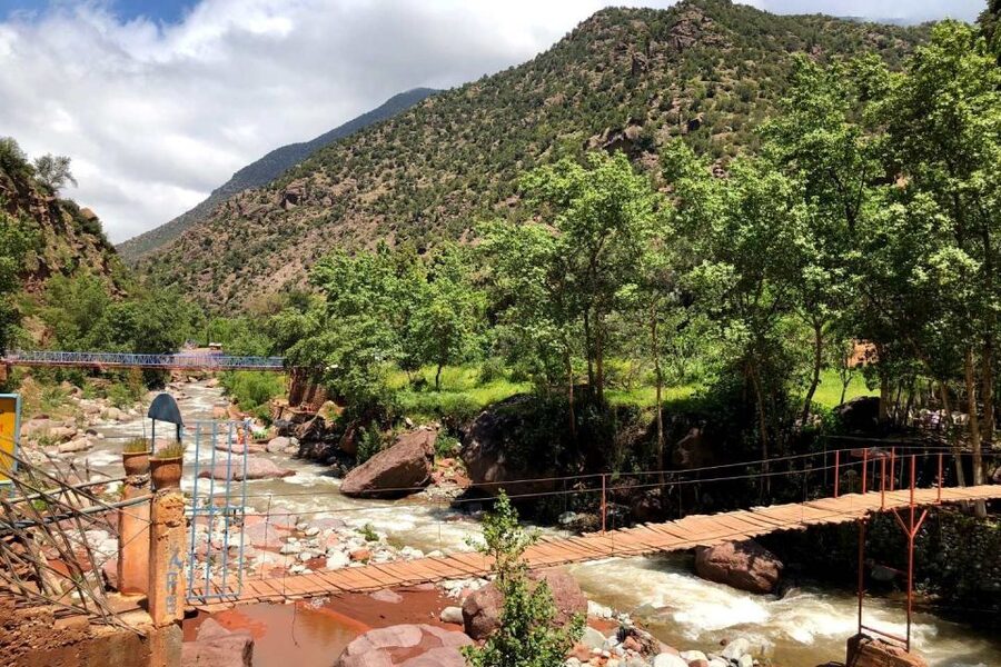 Marrakech: Ourika Valley and Atlas Mountains Day Trip - Should you book the Marrakech Ourika Valley and Atlas Mountains day trip?