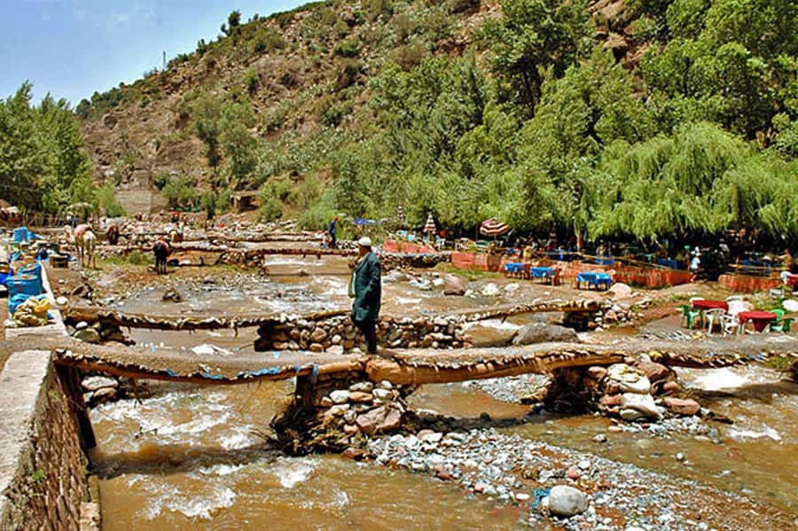 Marrakech: Ourika Valley and Atlas Mountains Day Trip - Photo stops, terraces, and the shop rhythm you should expect