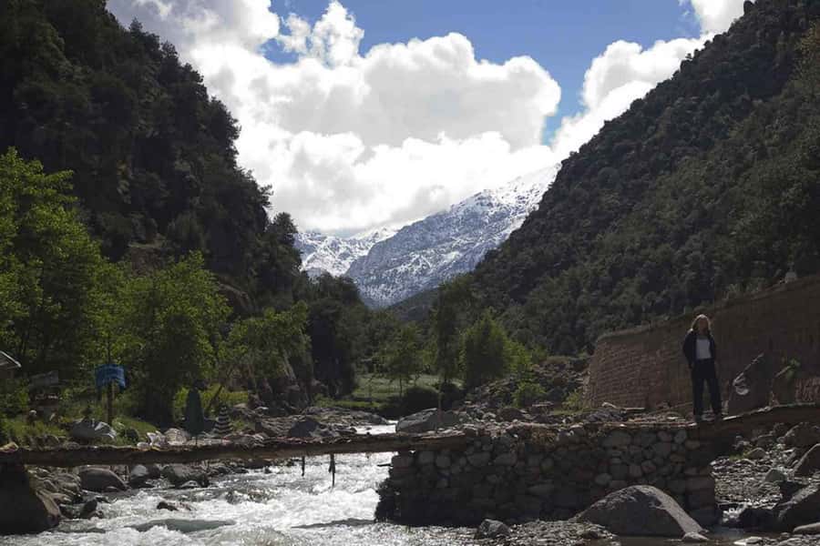 Marrakech: Ourika Valley and Atlas Mountains Day Trip - Lunch by the river: value-friendly, but quality can swing