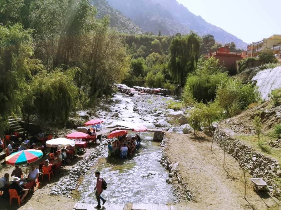 Marrakech: Ourika Valley and Atlas Mountains Day Trip - Price and logistics: $7 value is real, but read the fine print in your mind