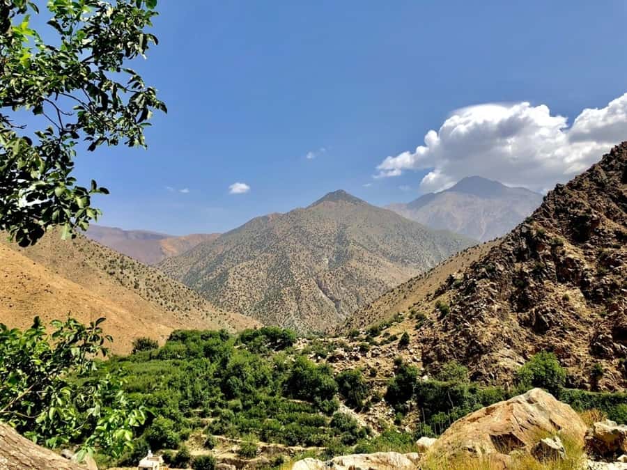 Marrakech: Ourika Valley & Atlas Mountains Half-Day Trip - The “so what” of Ourika Valley: why this half-day works