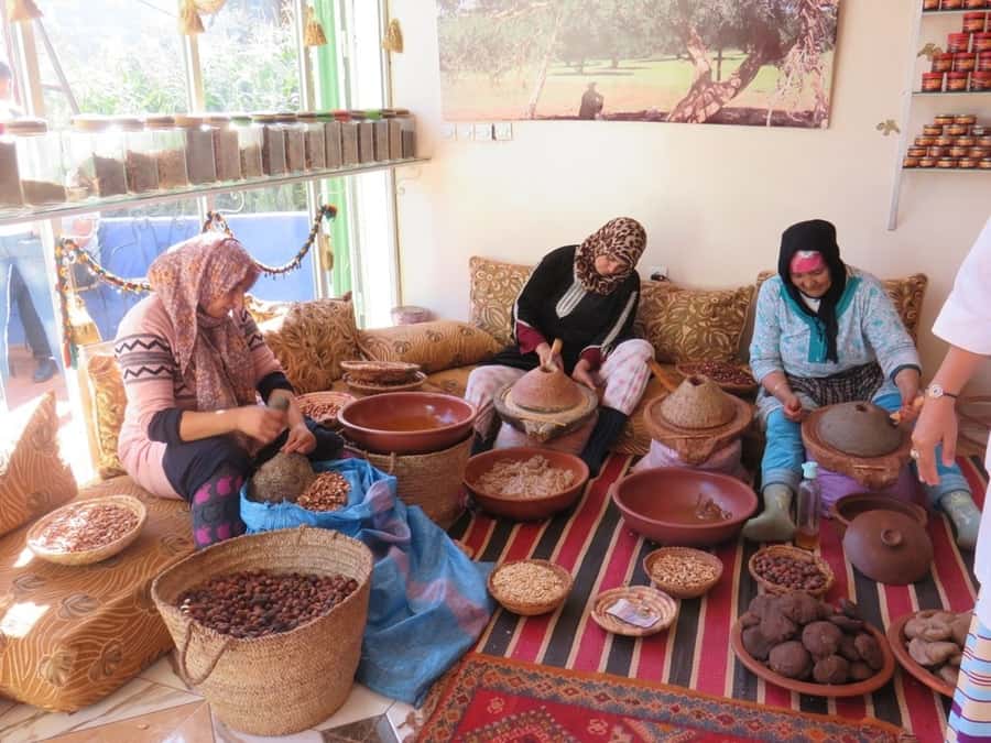 Marrakech: Ourika Valley & Atlas Mountains Half-Day Trip - Price, value, and what you’re really paying for