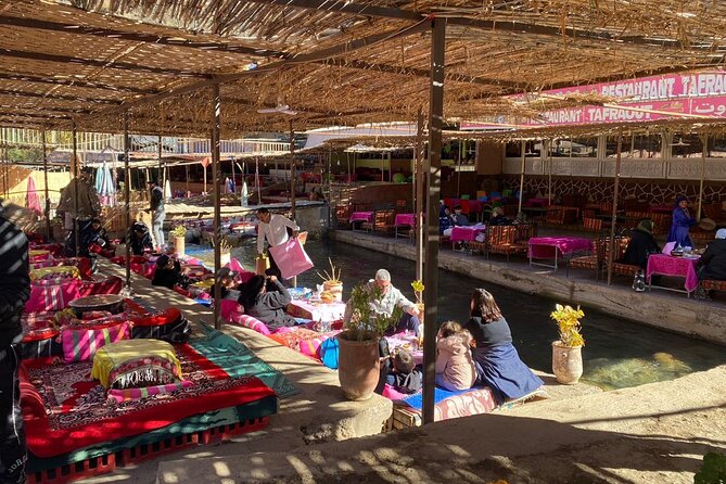 Marrakech: Ourika Valley,Atlas Mountains,waterfall with guide - Berber culture stops: argan co-operative and a traditional house visit
