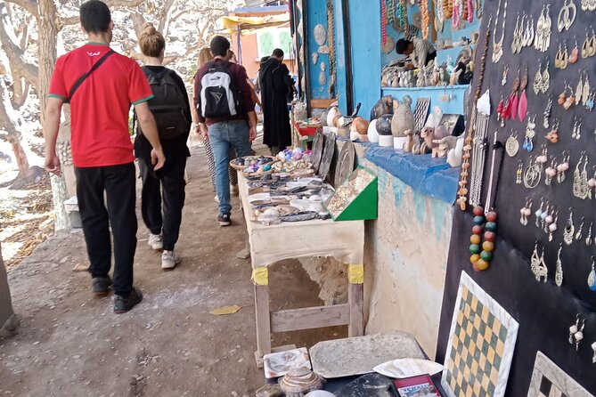 Marrakech: Ourika Valley,Atlas Mountains,waterfall with guide - Optional upgrades: camel ride and tajine lunch planning