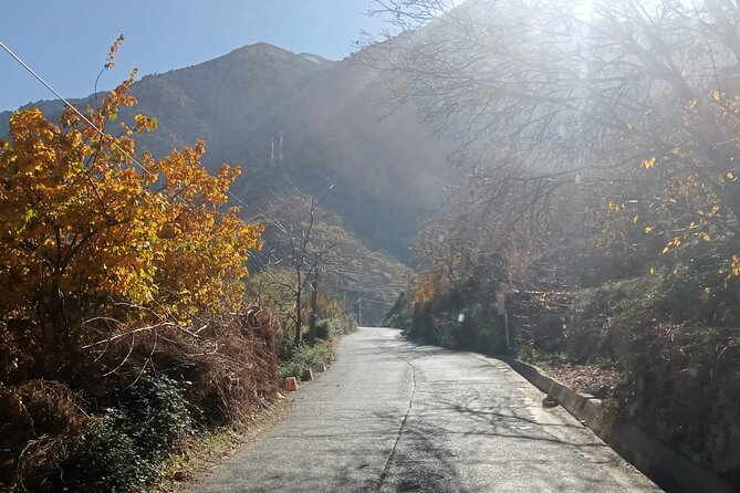 Marrakech: Ourika Valley,Atlas Mountains,waterfall with guide - Price value: why this $24.33 day trip can be a smart use of time
