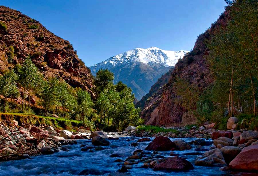 Marrakech: ourika valley Atlas Mountains & Waterfalls Trip - Key things I’d plan around