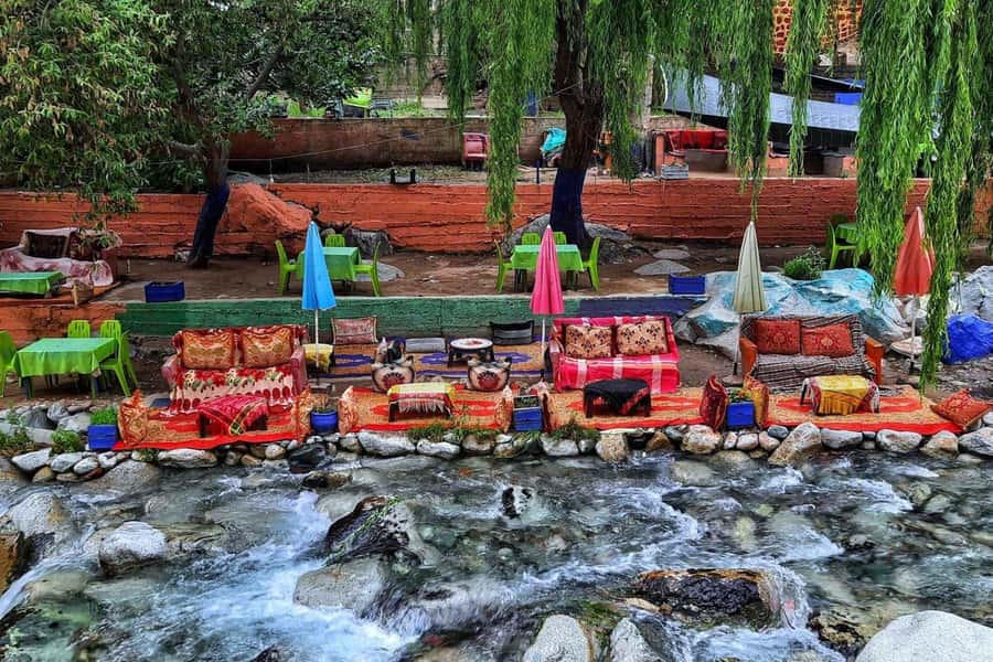 Marrakech: ourika valley Atlas Mountains & Waterfalls Trip - Women-run argan cooperatives: the story behind the shopping