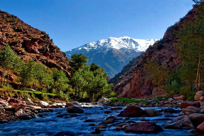Marrakech: Ourika Valley, Atlas Waterfalls with Guide &Lunch - The Berber women’s cooperative stop