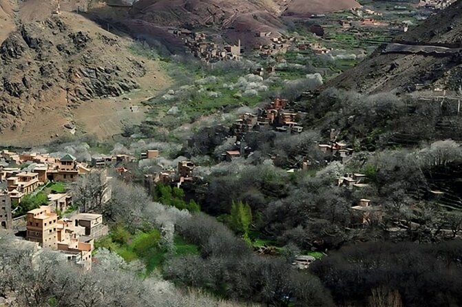 Marrakech: ourika valley day trip lunch and hike to waterfulls - Afternoon Berber tea time and how to use your free moments
