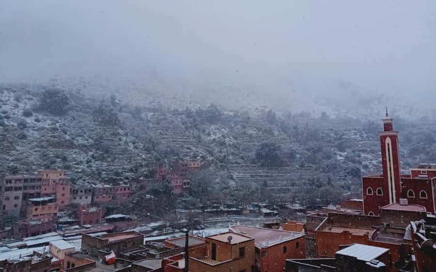 Marrakech: Ourika Valley Day Trip with Berber Village - The Ourika Valley souk on Mondays: what you might see and why it matters