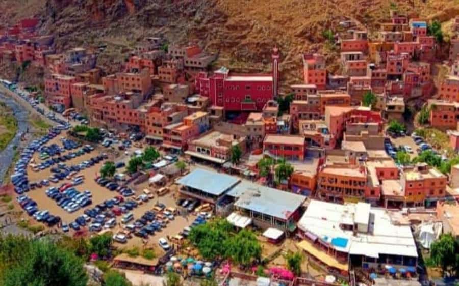 Marrakech: Ourika Valley Day Trip with Berber Village - Languages and guide style: how you get more out of the day
