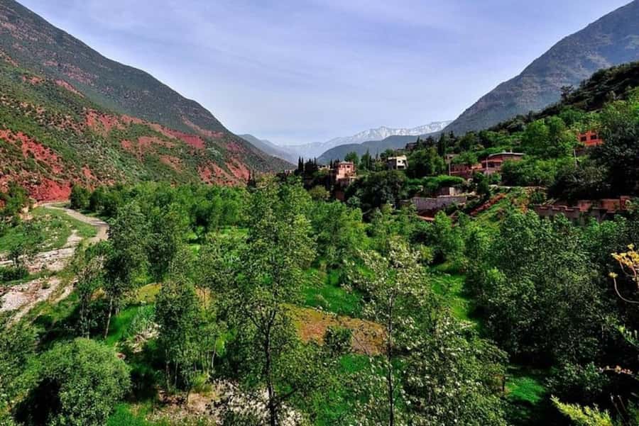 Marrakech: ourika valley lunch & guided hike to waterfalls - Who Should Book This Ourika Valley Waterfall Day