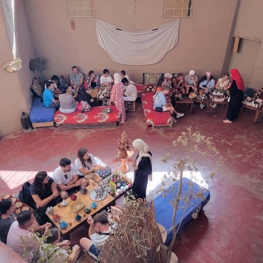 Marrakech: Ourika Valley & Setti Fatma Waterfalls with Lunch - How the guide and driver support makes the day smoother