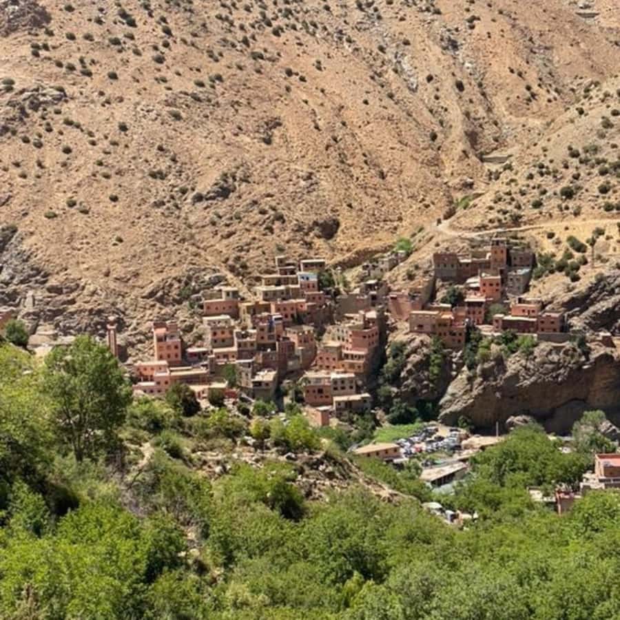 Marrakech: Ourika Valley & Setti Fatma Waterfalls with Lunch - Price and value: is $14 really enough for all this?