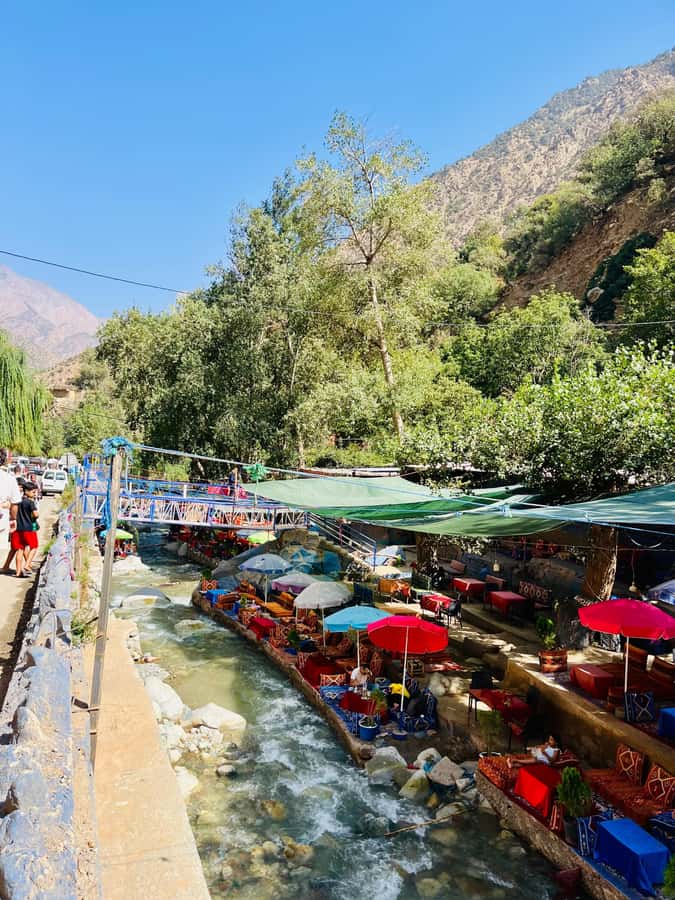Marrakech: ourika valley & waterfall Day Trip with guide - Argan women’s cooperative: tea, learning, and real daily life