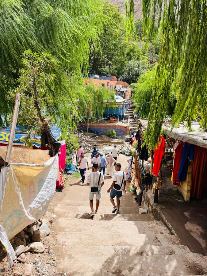 Marrakech: ourika valley & waterfall Day Trip with guide - Price and value: $11 works only if you accept the extras