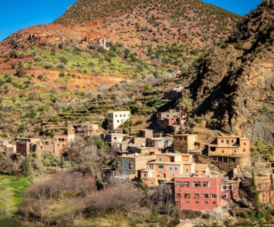 Marrakech: Ourika Valley,Waterfalls, Atlas Luxury Day trip - Why Ourika Valley feels like another world from Marrakech
