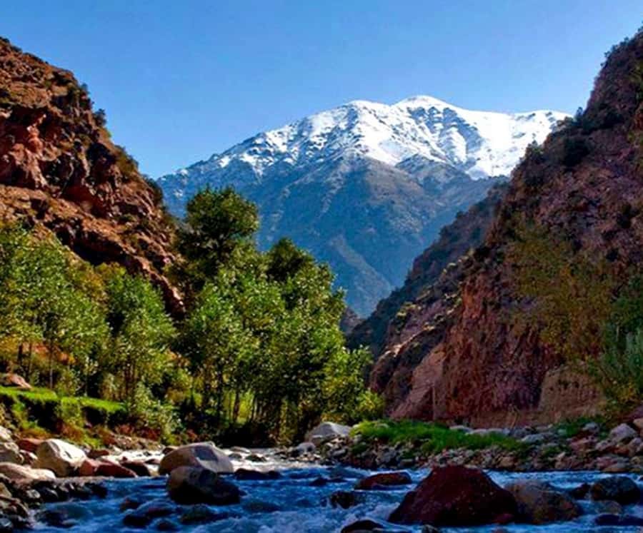 Marrakech: Ourika Valley,Waterfalls, Atlas Luxury Day trip - Oued Ourika farms, orchards, and the argan oil cooperative stop