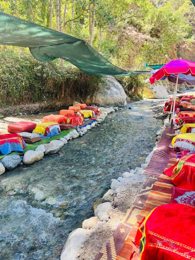 Marrakech: Ourika Valley Waterfalls & Atlas Mountains Trip - The women’s argan co-op: learning about oil, not just buying a souvenir