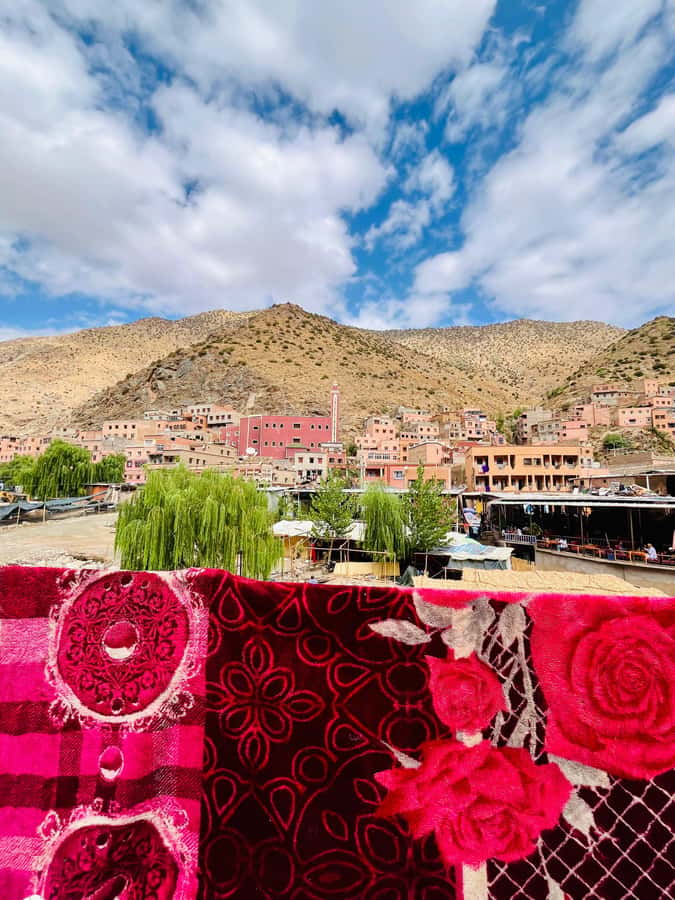 Marrakech: Ourika Valley Waterfalls & guided hike - Should you book this Ourika Valley Waterfalls hike?