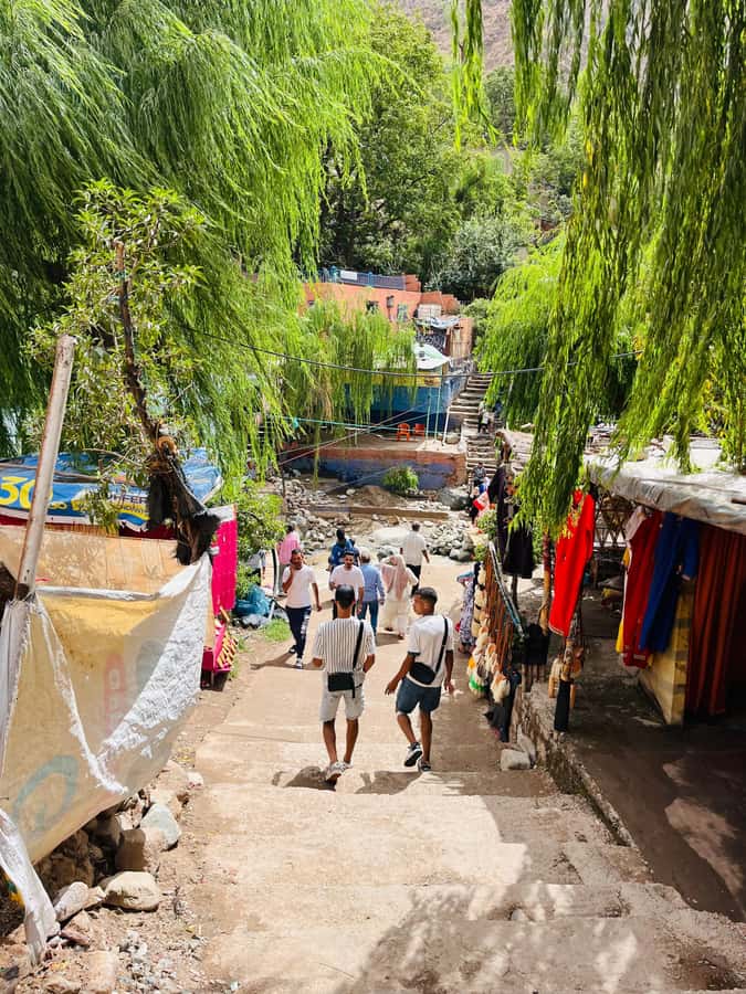 Marrakech: Ourika Valley Waterfalls & guided hike - Riversides lunches, free time, and what to expect from the meal