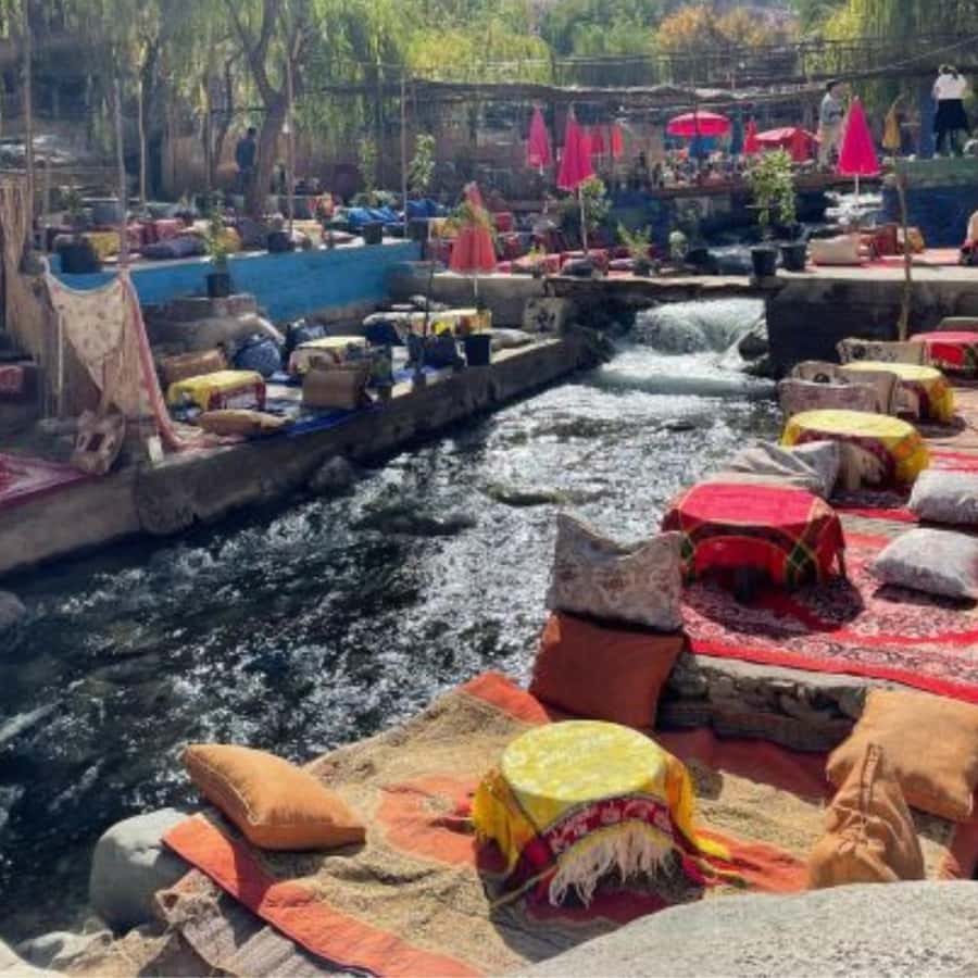 Marrakech: Ourika Valley & Waterfalls Guided Tour with Lunch - Who should book this Ourika Valley tour, and who should skip it