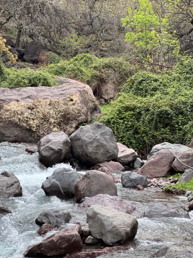 Marrakech: Ourika Valley Waterfalls Hike & Traditional Lunch - Price and Value: Is $25 Fair for What You Get?