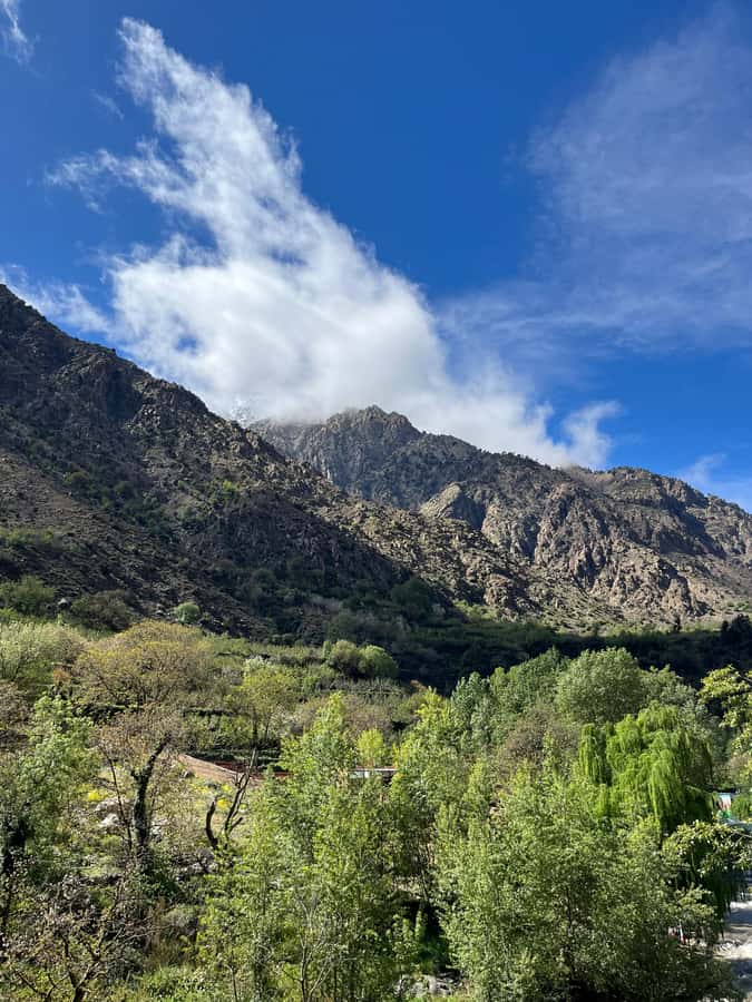Marrakech: Ourika Valley Waterfalls Hike & Traditional Lunch - Practical Stuff to Pack and Know Before You Go