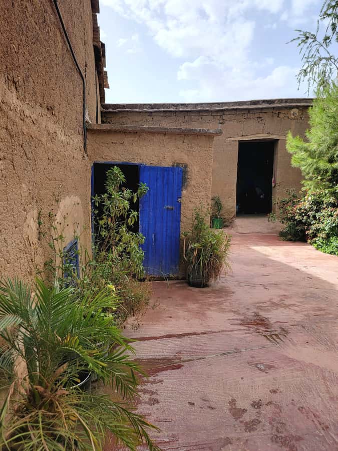 Marrakech: Ourika Valley, Waterfalls Private Trip with Lunch - Berber village time: what to notice when the day slows down