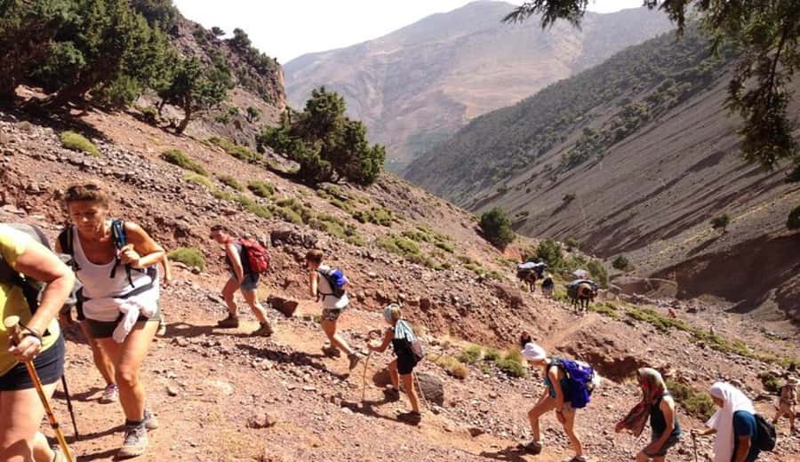Marrakech: Ourika Valley waterfalls with guide& Berber lunch - The guided hike to Ourika Falls, what to expect on the trail