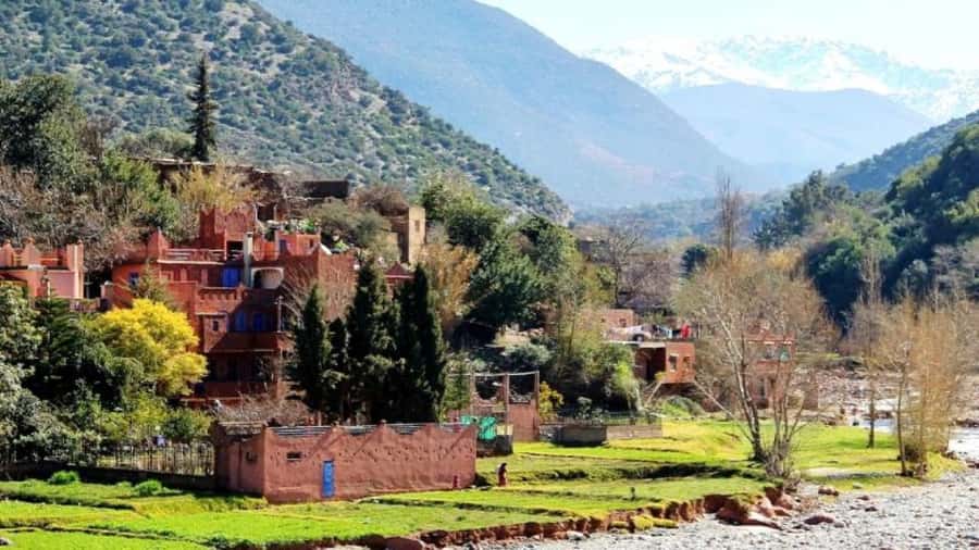 Marrakech: Ourika Valley waterfalls with guide& Berber lunch - Riverside lunch after the climb, plus the soft drink reality